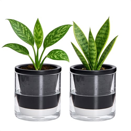 D'vine Dev Self-Watering Black Terracotta Planter, 4 in, 2-Pack, 37-Y-A-3 - color: Black, size: 4 Inch