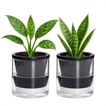 D'vine Dev Self-Watering Black Terracotta Planter, 4 in, 2-Pack, 37-Y-A-3 - color: Black, size: 4 Inch