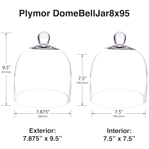 Plymor 7.875 inch x 9.5 inch Bell Jar Glass Display Dome Cloche (Interior Size 7.5" x 7.5") - size: 7.875" x 9.5"