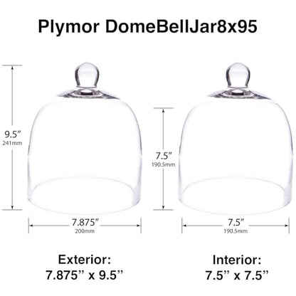 Plymor 7.875 inch x 9.5 inch Bell Jar Glass Display Dome Cloche (Interior Size 7.5" x 7.5") - size: 7.875" x 9.5"