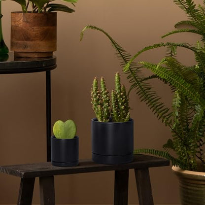 D'vine Dev 2-Pack Ceramic Pots & Saucers, Black, 3.5/4.7 in, 94-G-XS-2 - color: Black, size: X-Small