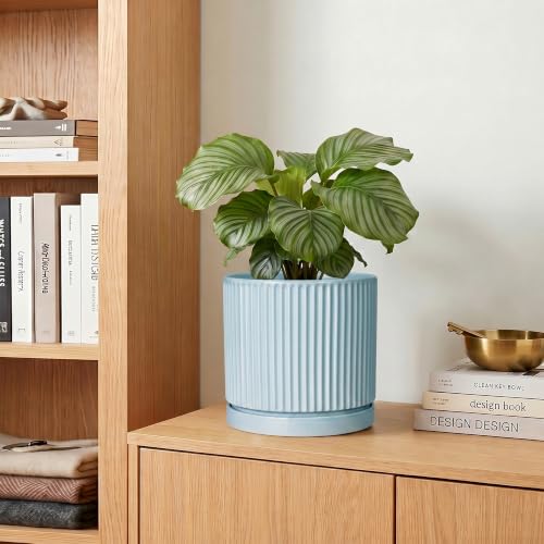 Ceramic Flower Pots, 6 Inch Planters with Saucer, Light Blue - color: Light Blue, size: 6 Inch