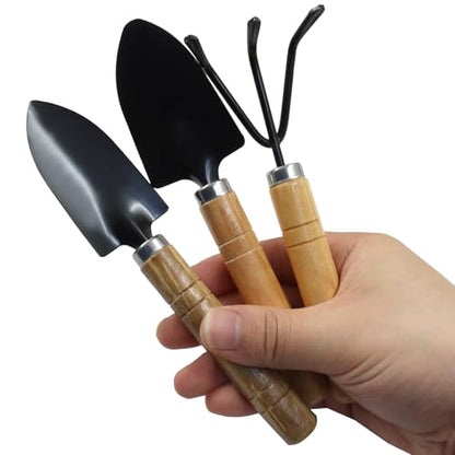 3 Pcs Mini Garden Tools Set, Iron Kit Including Small Trowel, Mini Shovel & Hand Rake for Succulent/Bonsai & Pot Plants - style: 3 Pcs