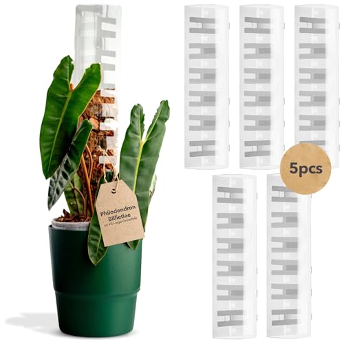 THICCLY V3 GrowPole Large 5 Pcs - Front Opening Plastic Moss Poles for Climbing Plants, D-Shaped Moss Pole for Monstera Plant Support Plant Climbing Pole, Plastic Plant Pole Support for Philodendron - size: V3 GrowPole Large 5 Pcs