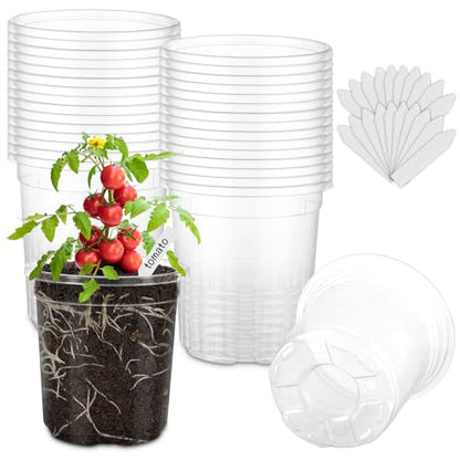 30 Pack Clear Nursery Plant Pots, 5 Inch with Drainage Holes, 20 Labels - size: 5 inch 30p