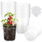 30 Pack Clear Nursery Plant Pots, 5 Inch with Drainage Holes, 20 Labels - size: 5 inch 30p