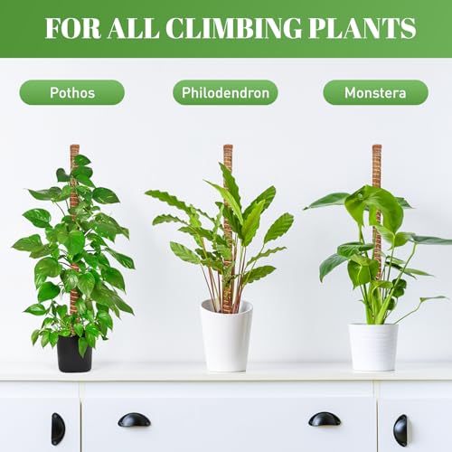 54 Inch Moss Pole, for Climbing Plants Indoor