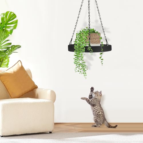 Plant Hanger Indoor, 2 Pack Black Metal Hanging Planters for Indoor Plants