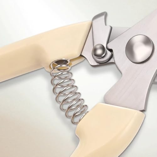 Premium Branch Pruning Shears, Stainless Steel Blade Drop Forged Body and Handle, Ultra Fine Polished Gardening Shears for Tree Trimming Shaping Deadheading