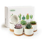 ZOUTOG 6 Pack 3.1" Ceramic Succulent Pots,White Planter with Drainage Tray - color: Bright White, size: 6 Pack