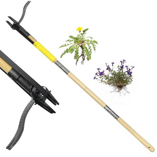 Weed Puller Tool with Long Handle,44'' Heavy Duty 4-Claw Stand Up Garden Weeding Tool-Double Weeding Technique,Weed Remover Tool that not Body Bending（Ergonomic）