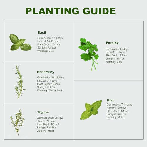Indoor Herb Garden Starter Kit, 5 Seeds Growing into Basil, Parsley, Rosemary, Thyme, Mint, Including A Planter Box, Soil Discs & Planters with A Gift Box for Women