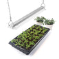 Barrina TX36 2FT LED Grow Light, 36W(200W Equivalent), Full Spectrum - color: GrowForce Spectrum, size: 2FT-36W-1P