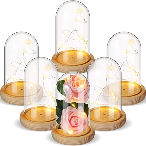 Remerry 6 Pcs Plastic Cloche Dome Display with Base and LED Light
