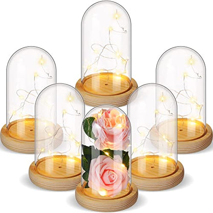 Remerry 6 Pcs Plastic Cloche Dome Display with Base and LED Light