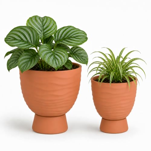 vensovo Terracotta Self Watering Plant Pots, 6 and 8 Inch with Saucers - color: Terracotta