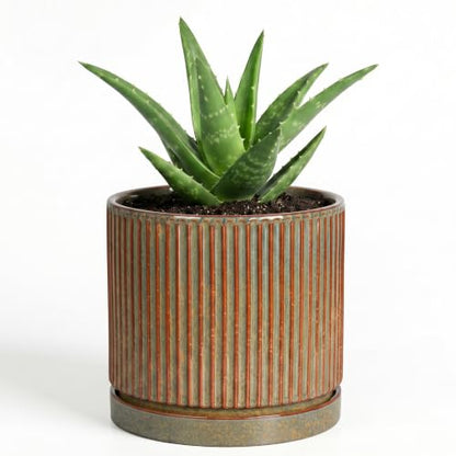 4 Inch Pots for Plants, Ceramic Plant Pots with Saucer, Retro Brown - color: Retro Brown, size: 4 Inch