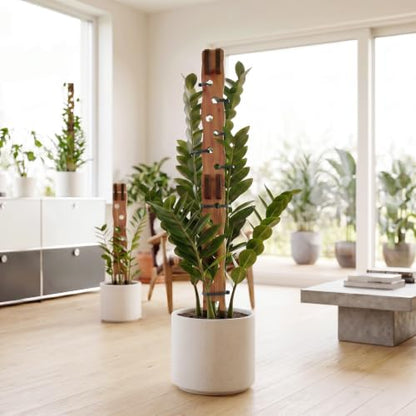 Wooden Extendable Plant Trellis for Potted Plants Indoor, 4 Sets - size: 4 Sets