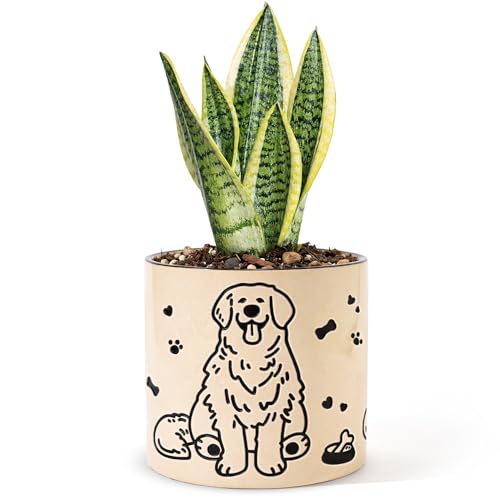STHIE Ceramic Planters with Drainage Holes, 5 Inch Pots for Indoor Plants - color: Cy-goldbowl01