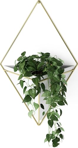 Umbra Trigg Hanging Planter for Small Plants, Large, White/Brass - color: White/Brass, size: Large