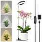 Small Halo Grow Light with Base, 48 LED Full Spectrum Indoor Plant Grow Light, Height Adjustable, 3 Spectral Modes, 10 Brightness Levels, Automatic Timer 3/9/12 Hours, Black - color: Black, size: 1 Pack Warm+White with Telescopic Pole and Base