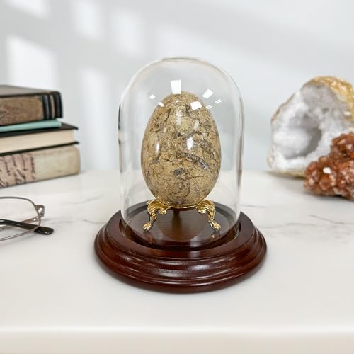 Plymor 3" x 4" Glass Display Dome Cloche (Dark Mahogany Veneer Base) - color: Dark Mahogany Veneer Base