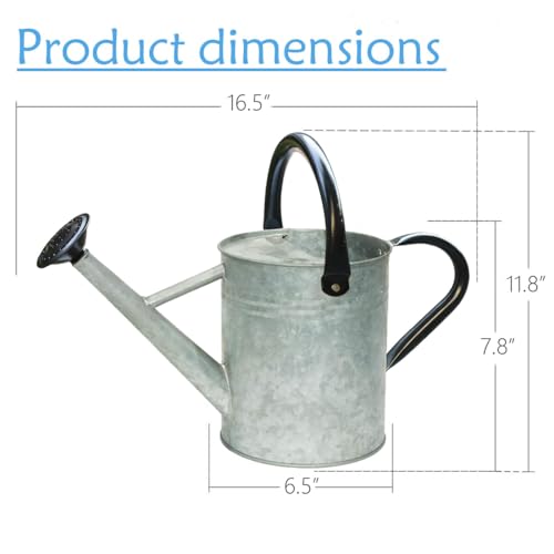 Metal Watering Can 1 Gallon for Indoor and Outdoor Plants Silver Black - color: One Gallon Silver Black