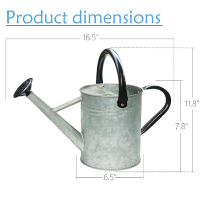 Metal Watering Can 1 Gallon for Indoor and Outdoor Plants Silver Black - color: One Gallon Silver Black