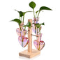 Nacome Plant Terrarium Propagation Stations: Pink Vase with Wooden Stand - color: Pink