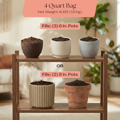 Rosy Soil Cactus & Succulent Potting Mix, 4 Quarts - color: Cactus & Succulent, size: 4 Quarts