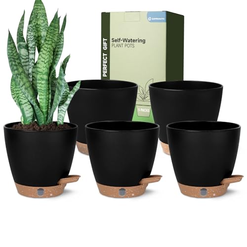 5 Pack 6 Inch Self Watering Planters for Indoor Plants, Automatic Watering Pots for Busy Plant Parents & Vacation, Decorative Modern Flower Pots with Drainage & Saucers (Black, 6 inch) - color: Black, size: 6 inch