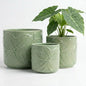 Ceramic Pots for Plants Set of 3, 6, 5, 4 Inch Diameter with Drainage Holes