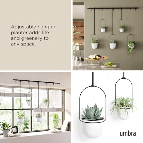 Umbra Triflora Hanging Planter, Window Herb Garden, Set of 5, White/Black - color: White/Black, size: Set of 5, style: Set of 5