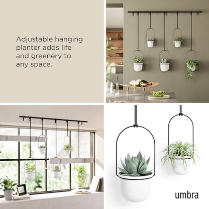 Umbra Triflora Hanging Planter, Window Herb Garden, Set of 5, White/Black - color: White/Black, size: Set of 5, style: Set of 5