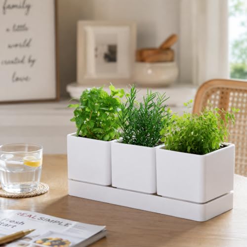 D'vine Dev 2-Pack Plastic Herb Garden Planter Set, White, 76-V-A-2 - color: White, size: 24"