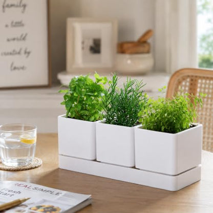D'vine Dev 2-Pack Plastic Herb Garden Planter Set, White, 76-V-A-2 - color: White, size: 24"