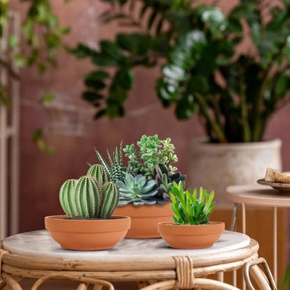 Laerjin Terracotta Pots with Drainage Holes, Large 2 Pack, 8.66 Inch - size: 8.66 inch