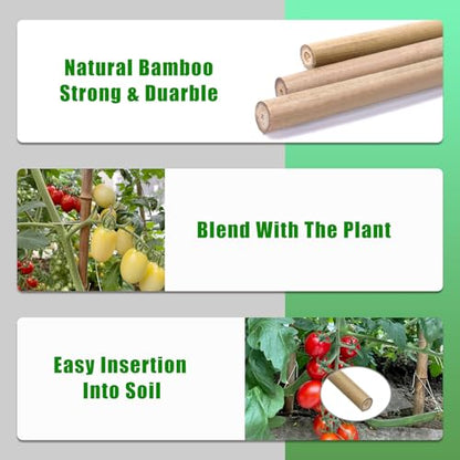 Bamboo Stakes,4Feet,65Pcs,Plant Bamboo Post,GUANGYE,Bamboo Garden Stakes - size: 4Ft,65Pack
