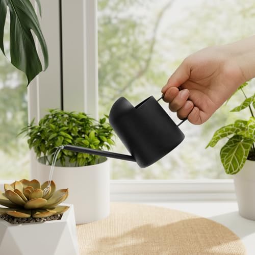 Bamworld Small Watering Can Indoor Outdoor Plant Black Metal Stainless Steel Long Spoutt Flowers Watering Cans for House Garden Plants 10OZ Watering Bottle Cute Decorative for Bonsai - color: Negro