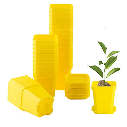 30Pcs 3" Plants Nursery Pot with Saucers Yellow, Square Planting Pots - color: Yellow