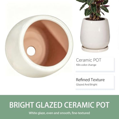 10.3 Inch Ceramic Glaze Plant Pot with Saucer, Flower Pots with Drainage Hole Mesh Net(Hemp-Gray Dot) - color: Hemp Gray Dot