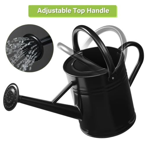 1 Gallon Watering Can for Outdoor&Indoor Plants，Black - color: Black