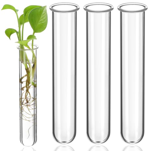 Gatuida 4pcs Clear Test Tube for Plant, Glass Propagation Tubes for Hydroponic Flower, Small Terrarium Plant Vases for Home Decor