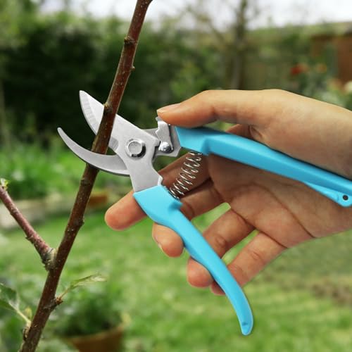 Garden Flower Shears, Blue Handle, 6.9 inches - style: Blue-1 Pcs
