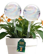Iridescent Self Watering Globes, Glass Rainbow Plant Watering Globes, Self Watering Planter Insert, Automatic Plant Waterer Indoor (Medium-2 Pcs Iridescent, Medium) - color: Medium - 2 Pcs (Pack of 1)