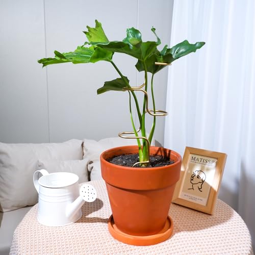 3PCS Indoor Plant Support – 12.6" Durable Metal Stakes for Plants - color: Gold