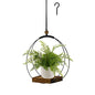 Hanging Planter for Indoor Plants, Black Plant Hanger Indoor with Sturdy Wood Base, Modern Boho Macrame Plant Hanger for 3-5.5 Inch Pot, Hanging Wall Ceiling Window Home Decor (Pots Not Included)