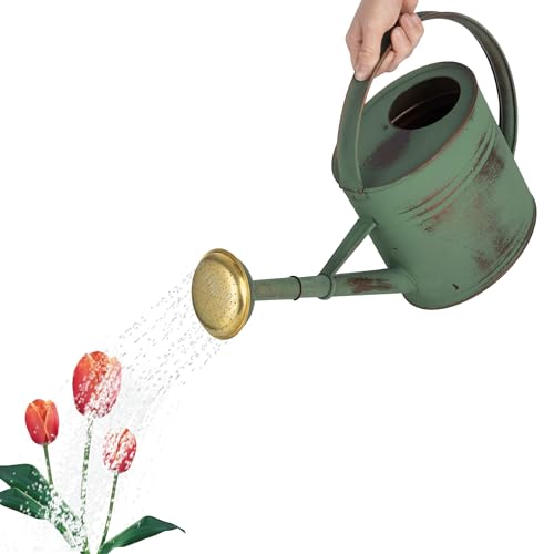 1 Gallon Plant Watering Can with Removable Spout - Copper Plated Metal Watering Can for Indoor Plants or Outdoor Garden - Vintage Garden Decor by Kings County Tools (Green)