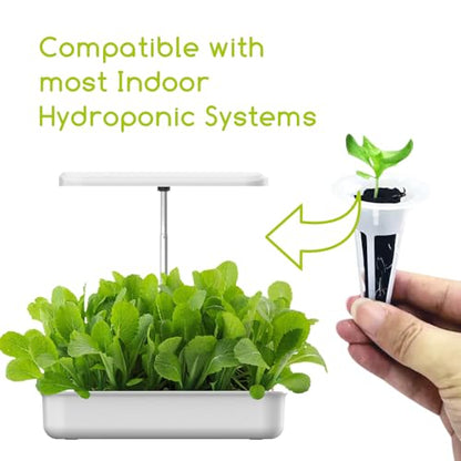 Hydroponic Grow Sponges Seed Starter Pod Kit