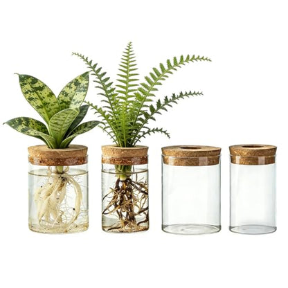 Glass Plant Propagation Stations for Plants, Propagation Flower Vases Set